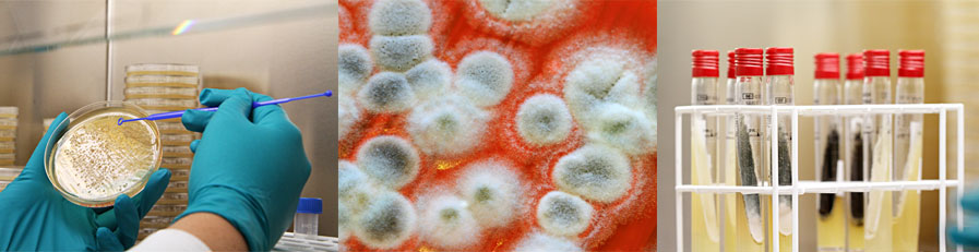 BioPreserv laboratoire de biologie à Grasse