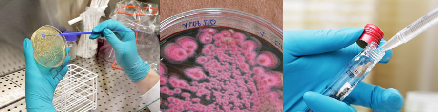 BioPreserv test d'efficacité des produits